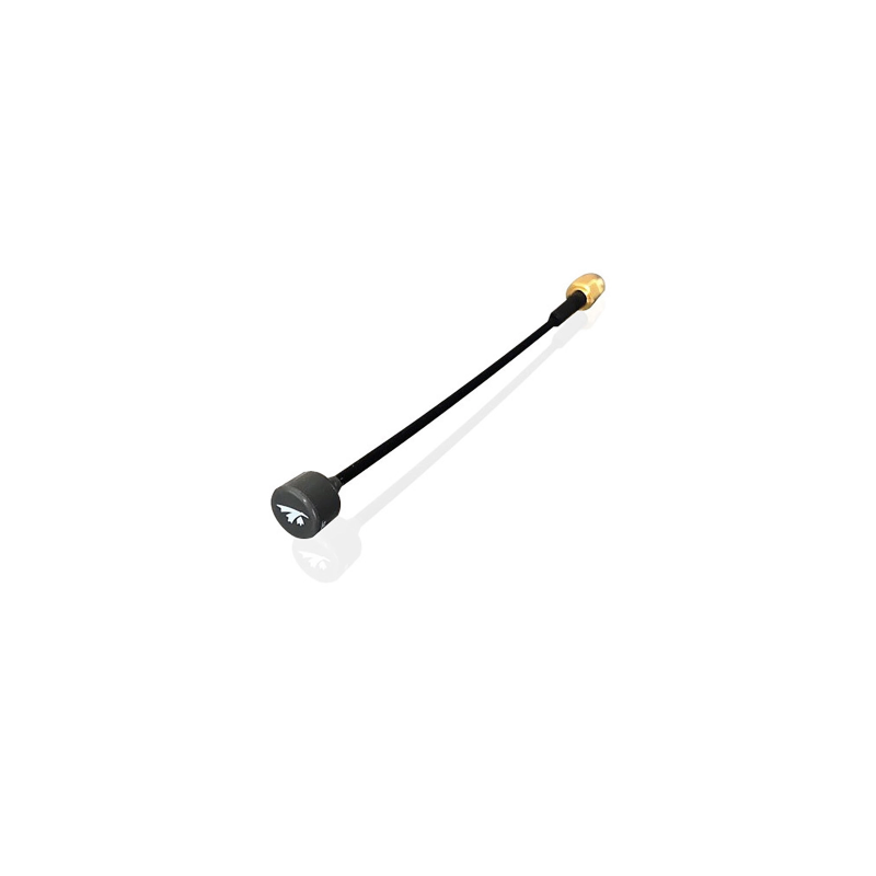 Antenne truers singularity SMA